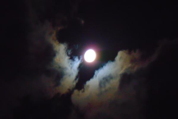 Aries Moon sign: The Independent and Fiery Bond