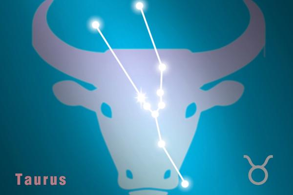 Taurus: The Reliable Shield 🐂