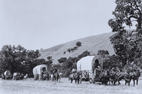 The Bold Pioneer