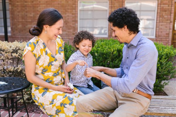 The Stable and Protective Parent