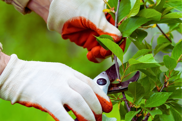 What Makes Someone a Natural Caregiver?